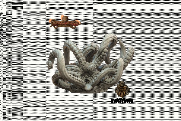 Kraken cc