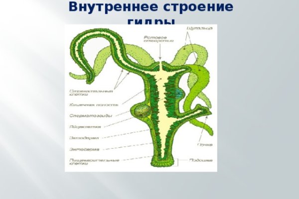 Кракен вывод средств