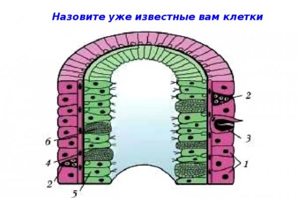 Кракен даркнет лол
