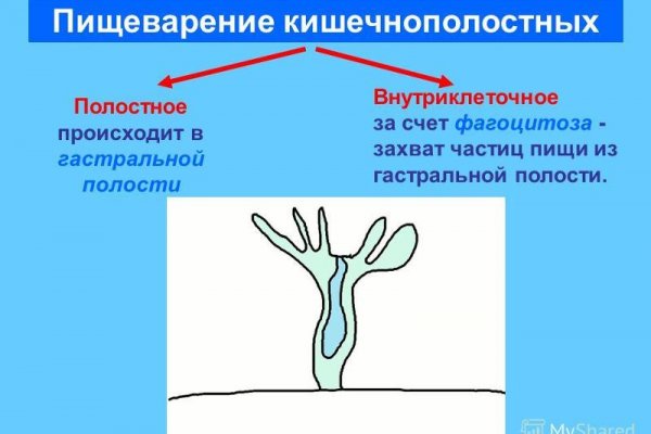 Сайты с наркотой