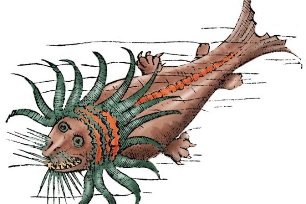 Kraken 19at