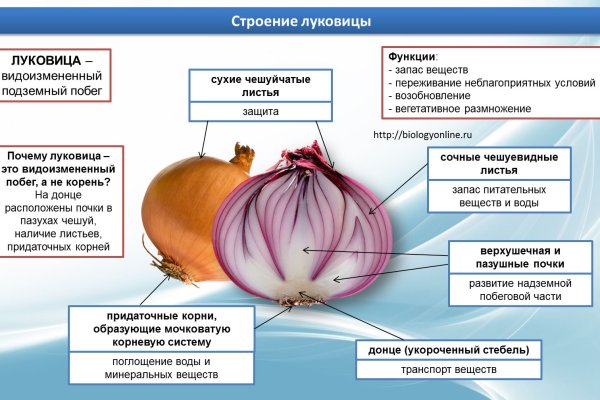Что вместо гидры