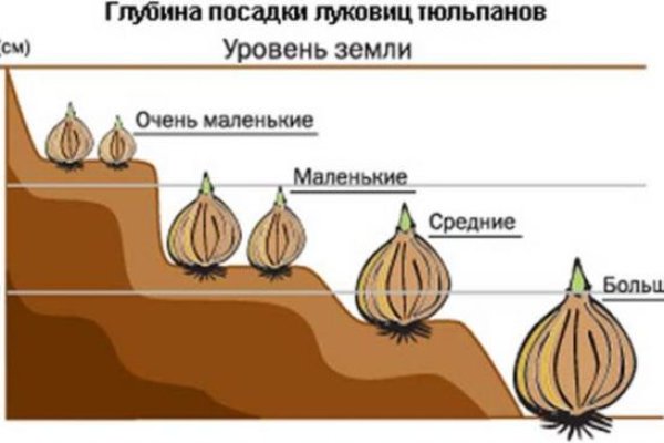 Сайт кракен 24