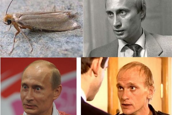 Kra44.cc Вход на сайт главная страница