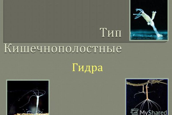 Ссылки на дарк нет