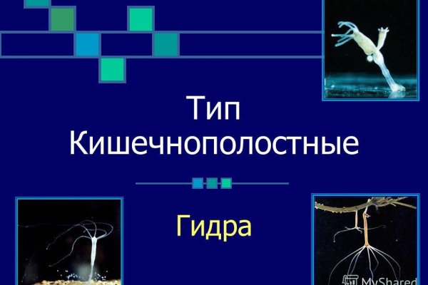 Kraken что это за магазин
