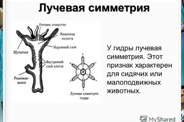 Кракен ссылка список