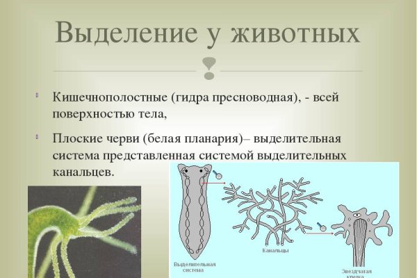 Кракен вход официальный сайт