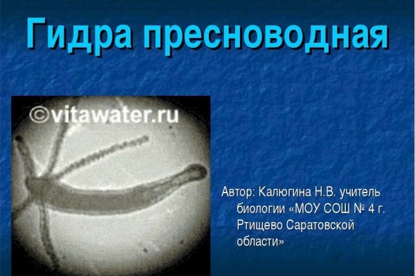 Адрес сайта кракен