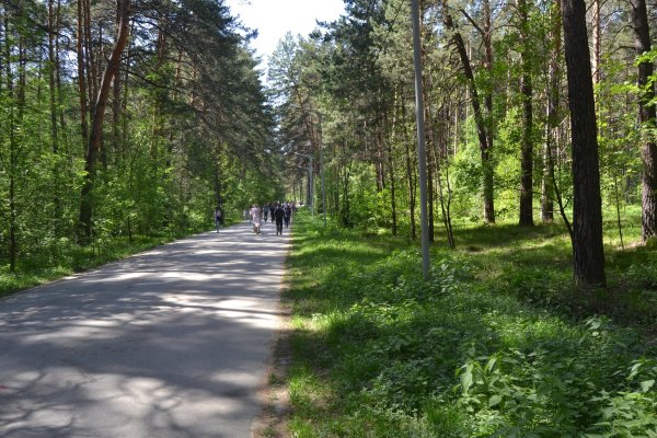 Реальные ссылки кракен