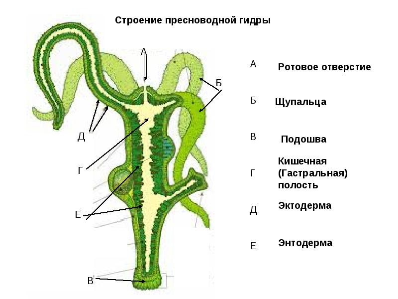 Маркет плейс кракен маркетплейс