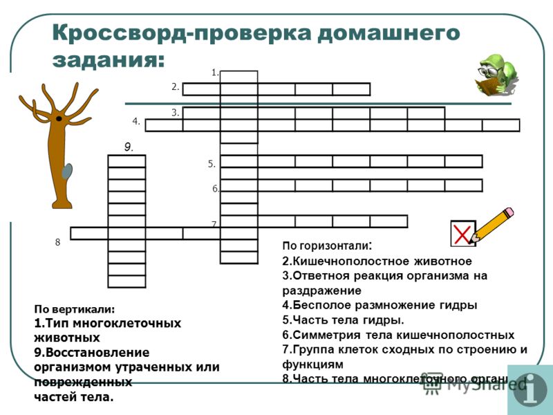 Как войти на сайт кракен